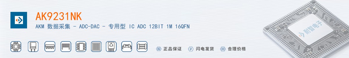 AK9231NK������