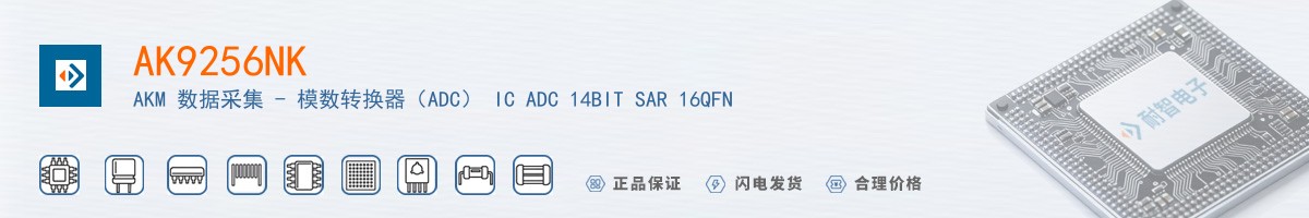 AK9256NK������