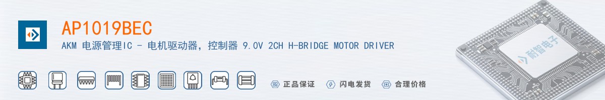 AP1019BEC������